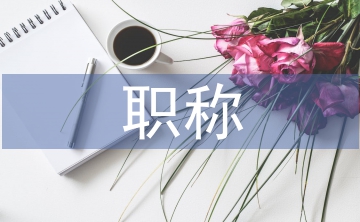 工程師職稱評(píng)審總結(jié)