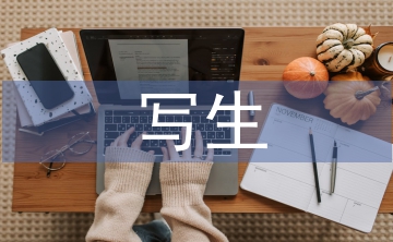 寫生實訓(xùn)總結(jié)