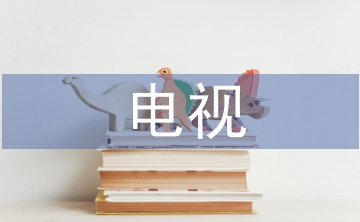 電視及網(wǎng)絡(luò)傳播對(duì)新農(nóng)村文化的影響