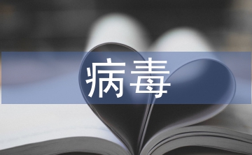 基于防火墻和病毒查殺的網(wǎng)絡安全機制