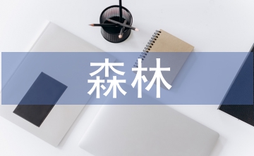 森林火災(zāi)預(yù)防常識