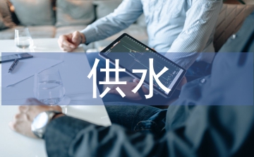 供水公司黨建工作總結(jié)