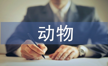 動(dòng)物衛(wèi)生監(jiān)督工作問題及對(duì)策