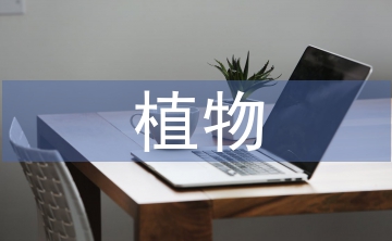 植物媽媽有辦法教案