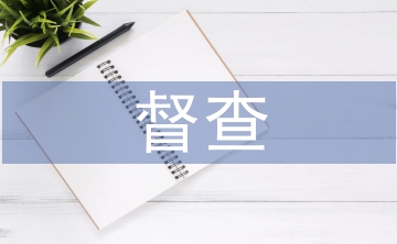 采購(gòu)管理督查工作計(jì)劃