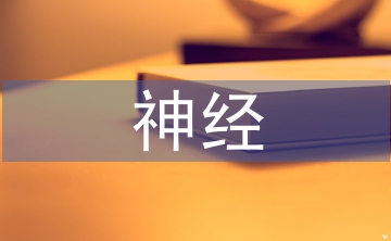 神經(jīng)科學(xué)論文