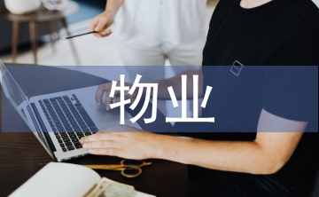 物業(yè)項(xiàng)目工作總結(jié)