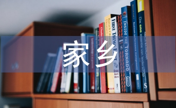 促進家鄉(xiāng)經(jīng)濟發(fā)展的建議