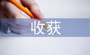 勞動(dòng)教育課的收獲和體會(huì)