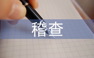 稽查工作思路