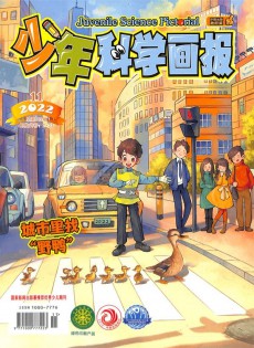 少年科學(xué)畫報(bào)