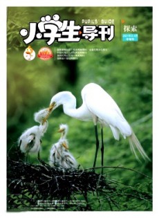 小學(xué)生導(dǎo)刊·中年級(jí)雜志